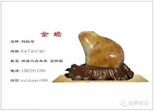 精品區藏品展播之三 珍貴收藏品賞析